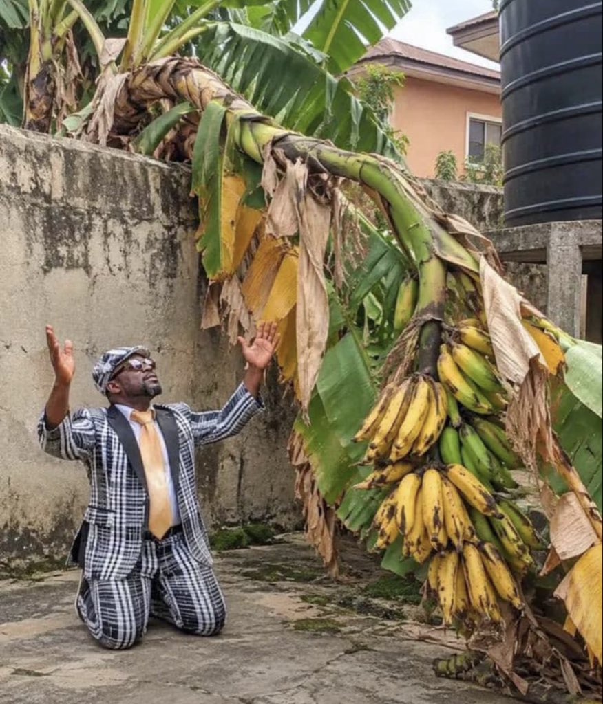 Itz_Jackson_'s tweet photo. Oga carry that plantain go give people wey get am. https://t.co/MwYhtpIF5w