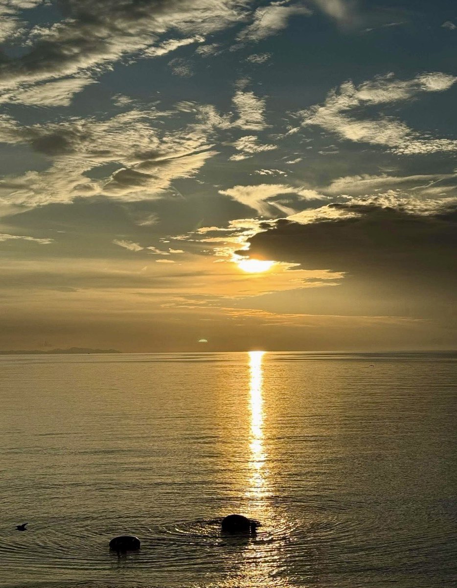 rinmfamily's tweet photo. おはようございます 
𝙂𝙤𝙤𝙙 𝙈𝙤𝙧𝙣𝙞𝙣𝙜
Have a nice day
週の始まり月曜日
連休最終日も仕事デシ
鉄筋工ですからⓂ️
帰り渋滞覚悟の出陣デシ！
Have a great  Monday
#JAPAN     #morning  #JAPAN https://t.co/7zpvd13nNp