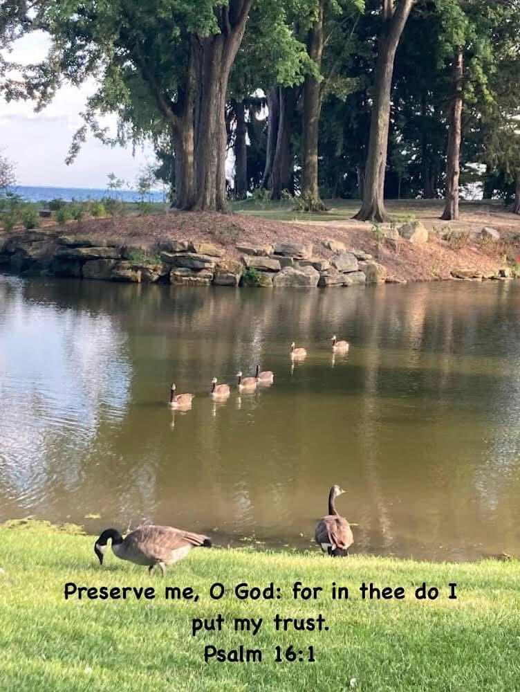 SarahMoore44358's tweet photo. 🤗🕊💖 https://t.co/Fdl3KfbEEF