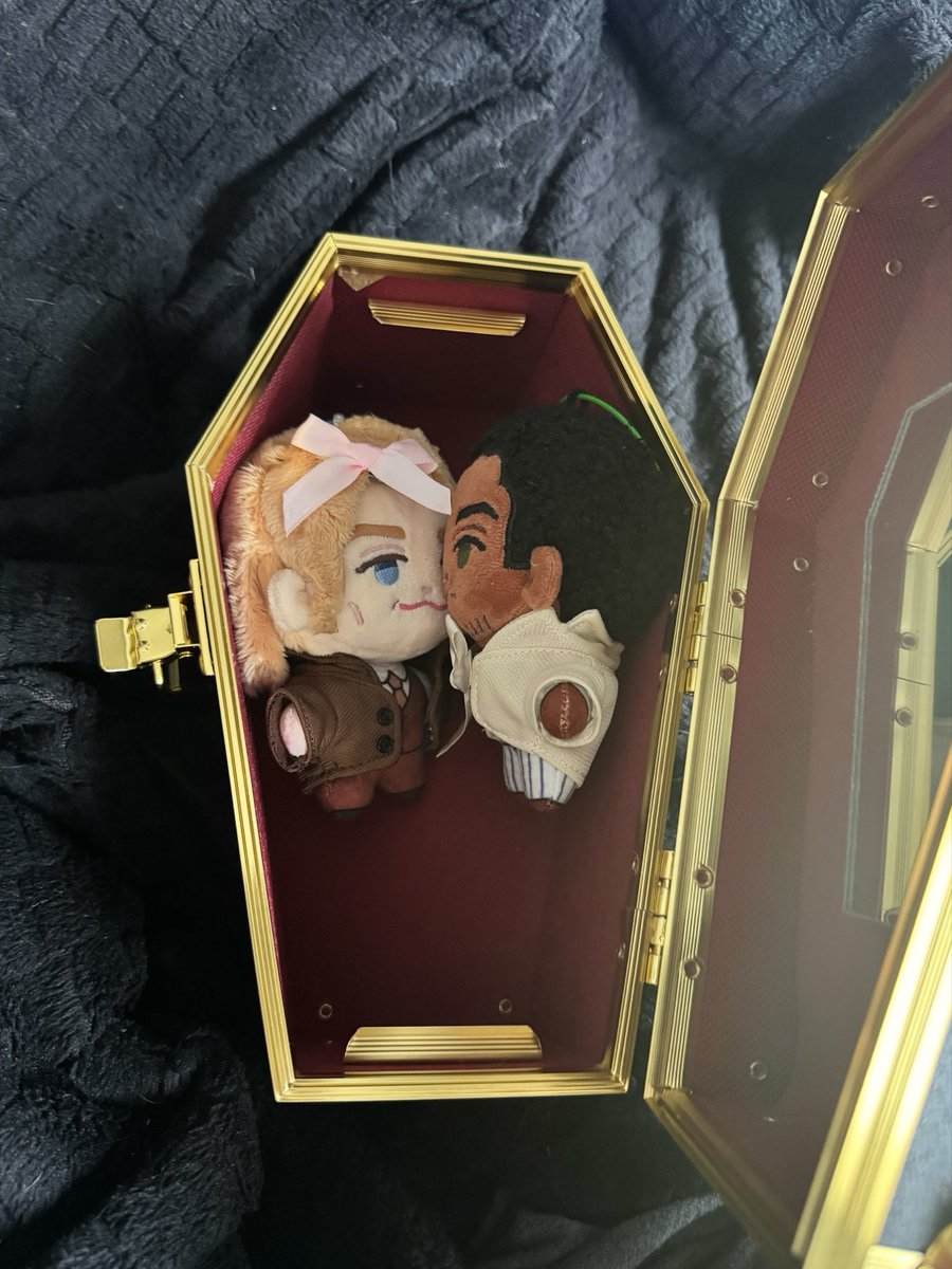 twoheadsmother's tweet photo. mini loustat have a coffin now https://t.co/TQ1q2tuZct
