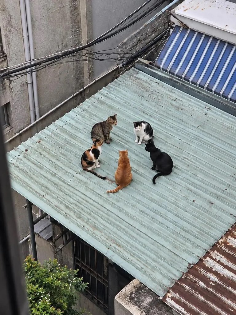 BliingzNew's tweet photo. Something is VERY wrong with this meeting.👀
Why are they in a perfect circle? 
Who called this meeting? 
I’m not saying it’s village witches, 

This looks serious, hope is not someone’s life they want to ruin? https://t.co/5DGQj2OwtD