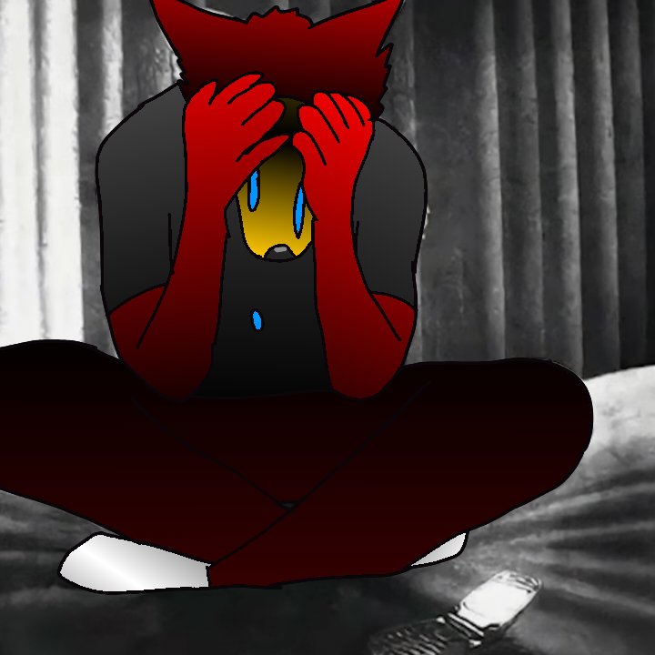 MateoRodrimoy4's tweet photo. @leontheBun @Nocturne_serinu . https://t.co/vXWwLgJOg0