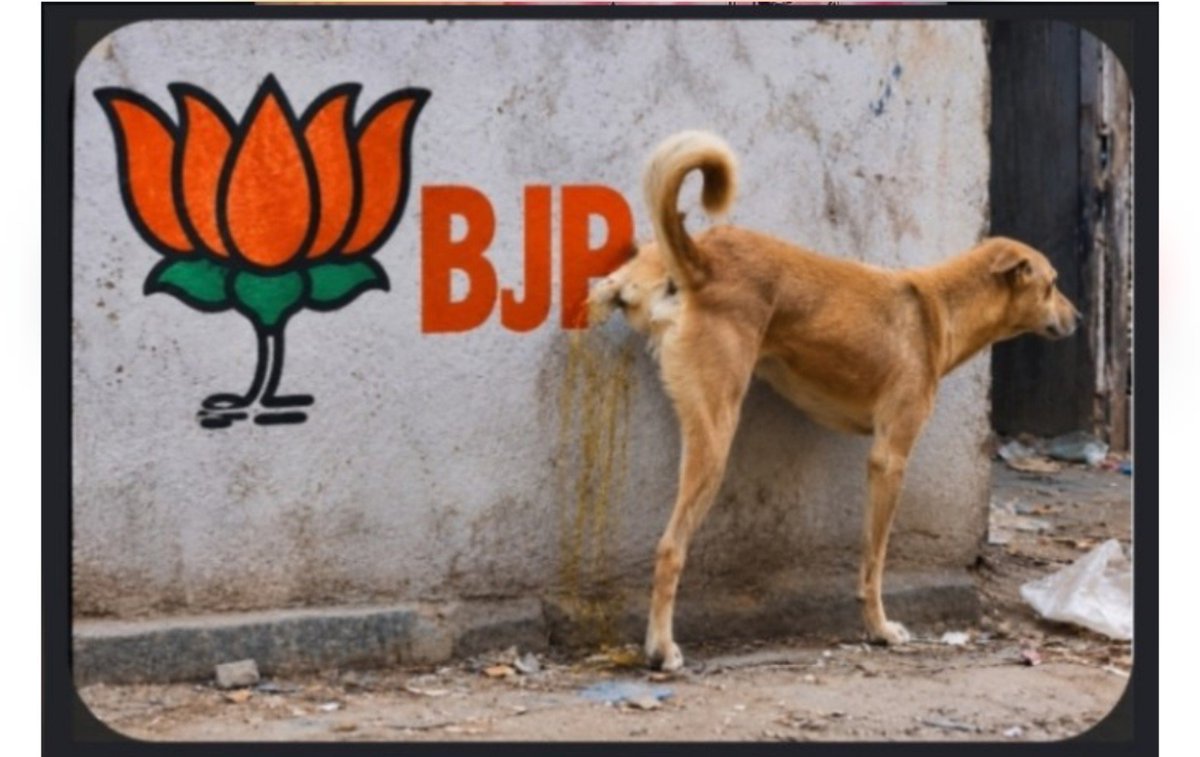 AlAbrar999's tweet photo. Fu' 'ck  modi 
Fu''' ck  BJP 
Fu'' ck  RSS https://t.co/LSLJH1sBuF