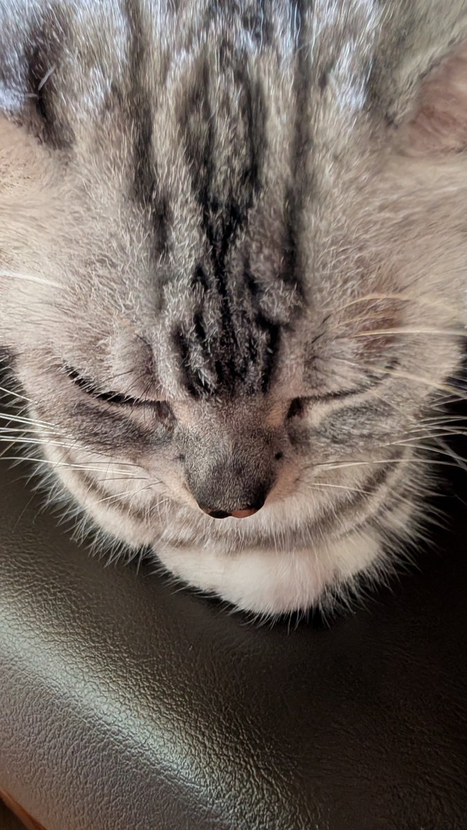 L5iGy's tweet photo. かわわわ〜😻 https://t.co/eZefaZ9zvC