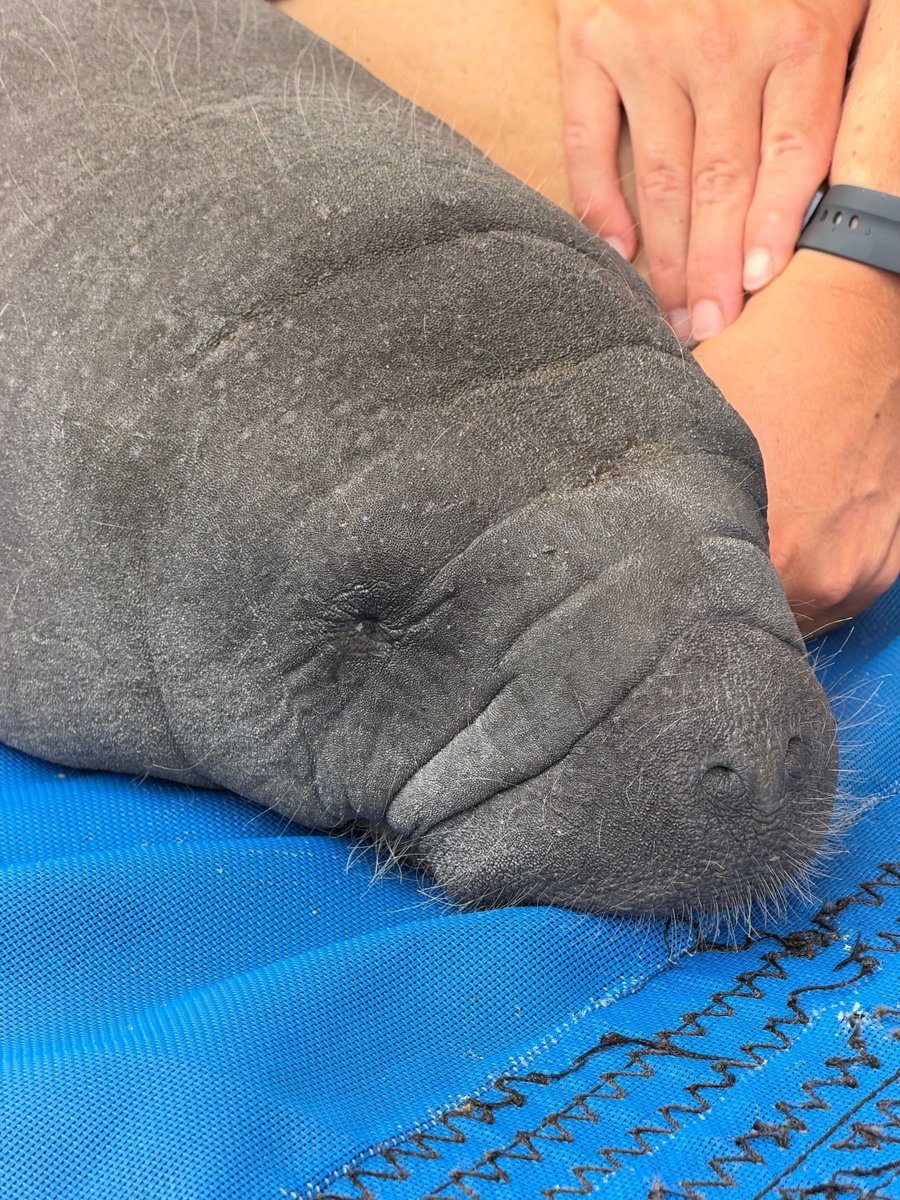 SeaWorld tweet picture