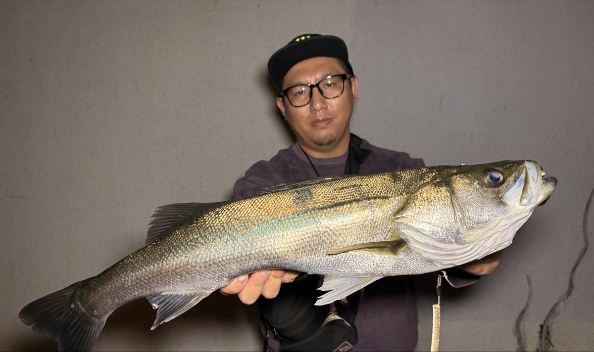 kudo_lt's tweet photo. 最近色んなご縁に恵まれて、アングラー生活が充実しまくっている。

今夜も釣り友さんに入らせていただいて、そこでご一緒した方が半年くらい前にたまたま出会ったアングラーさん😳

そしてお互いのことを覚えてて、会話も盛り上がりました☺️💡

そしてようやく、噂の秋爆を体感！
もう一生秋でいいわ😉