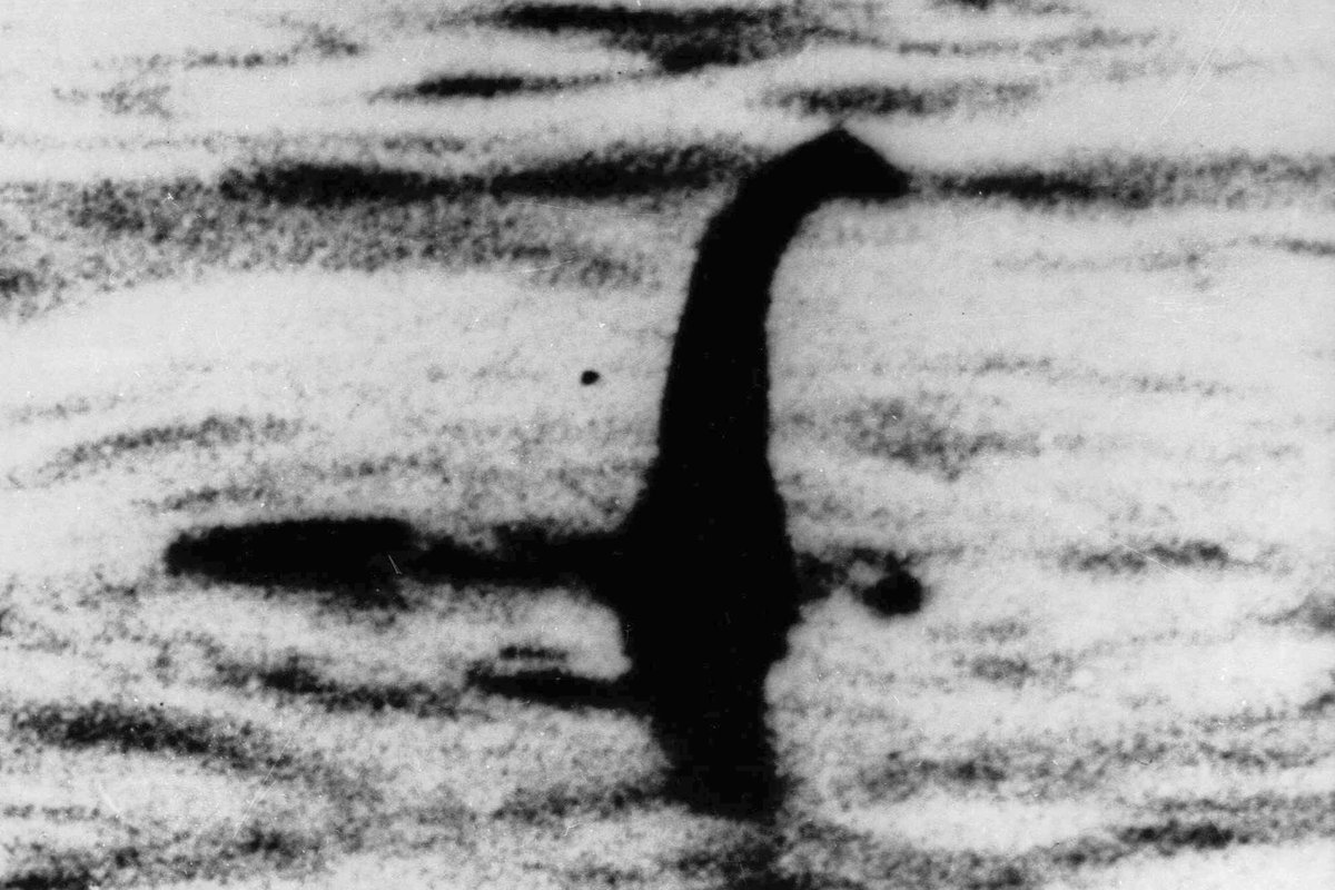 infobae's tweet photo. OPERACIÓN DEEPSCAN: LA ÚLTIMA GRAN BÚSQUEDA DEL MONSTRUO DEL LAGO NESS Y LA INCREÍBLE HISTORIA DE LA FOTO QUE REAVIVÓ LA LEYENDA | Por Daniel Cecchini

“Si algo ha demostrado la Operación Deepscan, es que no se puede acabar con una leyenda con la ciencia”, escribió el periodista de BBC Mundo Clive Ferguson cuando concluyó sin lograr resultados la mayor búsqueda, y la más sofisticada, organizada para encontrar al legendario monstruo del lago Ness. Corrían las últimas horas del domingo 11 de octubre de 1987 y Ferguson era uno entre las decenas de cronistas que habían pasado la última semana en los páramos que rodean al lago escocés para cubrir el operativo montado para detectar a Nessie, como popularmente se llamaba al monstruo, con un costo de más de 1.35 millones de dólares.

Durante siete días, veinticuatro embarcaciones se habían alineado para “rastrillar” el lago, cada una equipada con un sonar de última generación que proyectaba una pared de sonido hasta las profundidades. A lo largo de 37 kilómetros del espejo de agua la flota exploró las profundidades con su red sónica, mientras los científicos analizaban sus cartas náuticas en busca de cualquier señal reveladora. Hubo momentos de euforia, porque en tres ocasiones el sonar detectó la presencia de algo grande que se movía en las aguas, cerca de las ruinas del castillo Urqhart, pero sin poder determinar de qué se trataba. “Creo que si consiguiéramos un pez del tamaño que sugieren los contactos, nadie quedaría demasiado insatisfecho y todos esos testigos obtendrían la confirmación de sus afirmaciones”, le dijo después a Ferguson el líder del proyecto motorizado por la organización Loch Ness Exploration, Adrian Shine.

El primer registro de la existencia del monstruo de Loch Ness es un escrito de un monje de la Edad Media donde asegura haber avistado “una bestia acuática” en el lago. En el siglo XX, a lo largo de las décadas, científicos y aficionados intentaron sin éxito pruebas de la existencia de Nessie, casi siempre descripto como un animal acuático de apariencia similar a la de una gran serpiente marina o de un plesiosaurio sobreviviente a la extinción de la especie.

🔗https://t.co/7iwsHDAhzn
