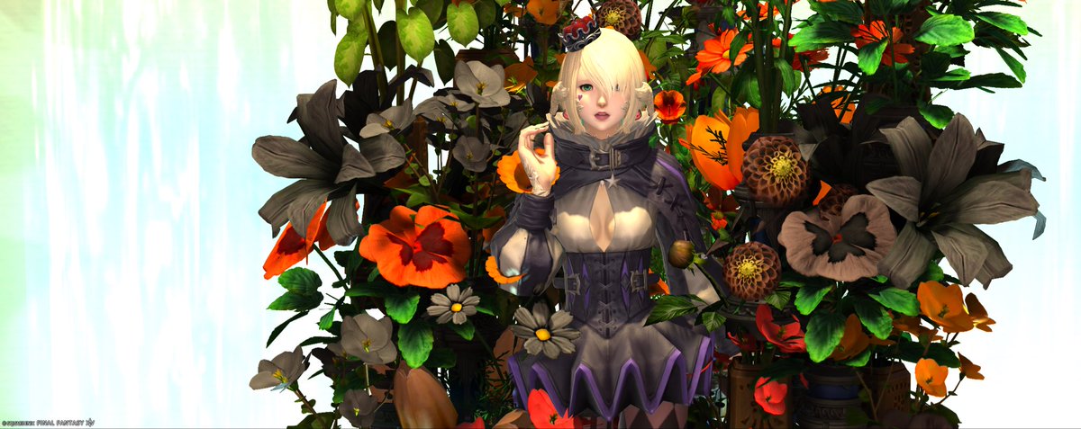 yg_usm0x0b's tweet photo. 10月のミラプリちゃん🎃🐈‍⬛🌙
イタズラ好きな猫ちゃんイメージ
黒じゃなくて紫に染色して統一感だしたの
装備がヒーラーで着れるようになって嬉しいな☺️
スタジオもハロウィンカラーが沢山の場所で撮れて大満足🌟
少し早いハロウィンを楽しめたらいいな
#今月のミラプリちゃん #ff14 #後角愛好会 https://t.co/3VvzFhslu1