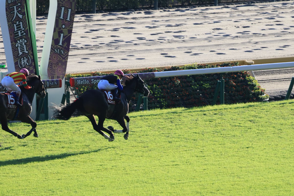 SK__Stables's tweet photo. 将雅さんの連敗からの脱出
これからの秋に向けてかんばって
#アイルランドT 
#カムニャック
#川田将雅 https://t.co/TYkTkIeDhD