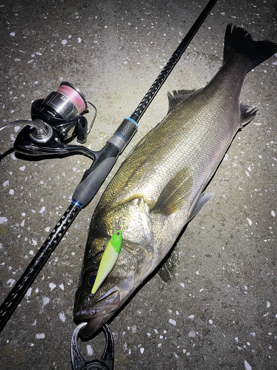 angler_ryo26's tweet photo. この河川最強と言われてる
ビーフリーズ68
ようやく使い方がわかってきた https://t.co/eFIcc9DVkA