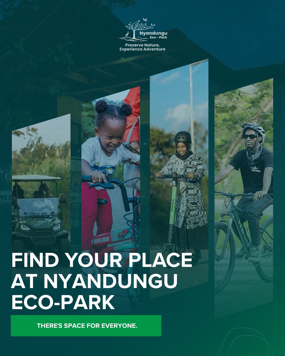 nyandungupark's tweet photo. At Nyandungu Eco-Park, everyone finds their own place in nature. 🌿

As we conclude Customer Service Week, we celebrate the many ways our visitors experience the park, from families spending time together and wellness seekers recharging to nature lovers exploring, birdwatchers https://t.co/h5itUZYAHn