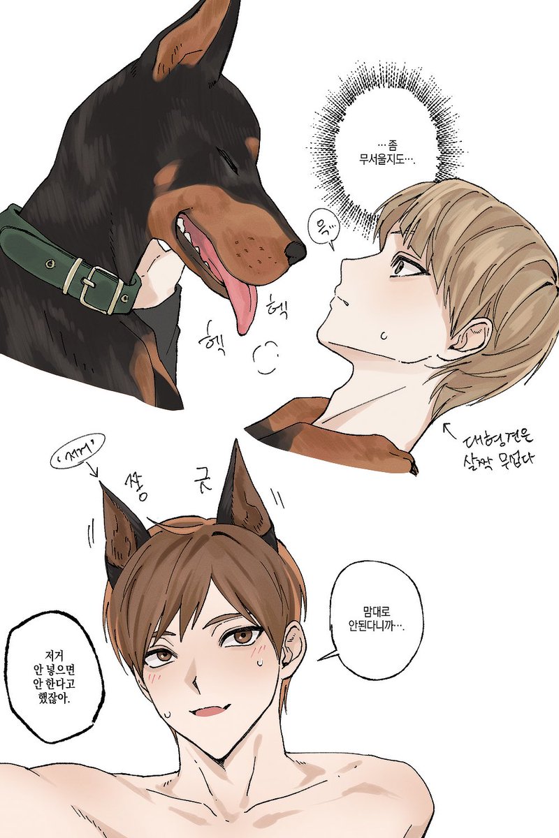 hyesung828's tweet photo. 후타시라 햇음 (또) https://t.co/UMPzTcRJ7J