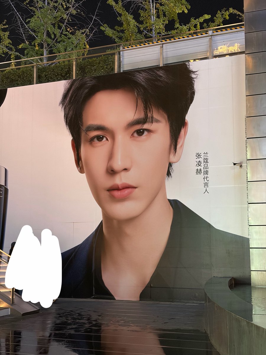 linuu_in's tweet photo. 随处可见的zlh，他代言了好多品牌哦
看到这张脸是愉悦的 https://t.co/FyFChomwxw