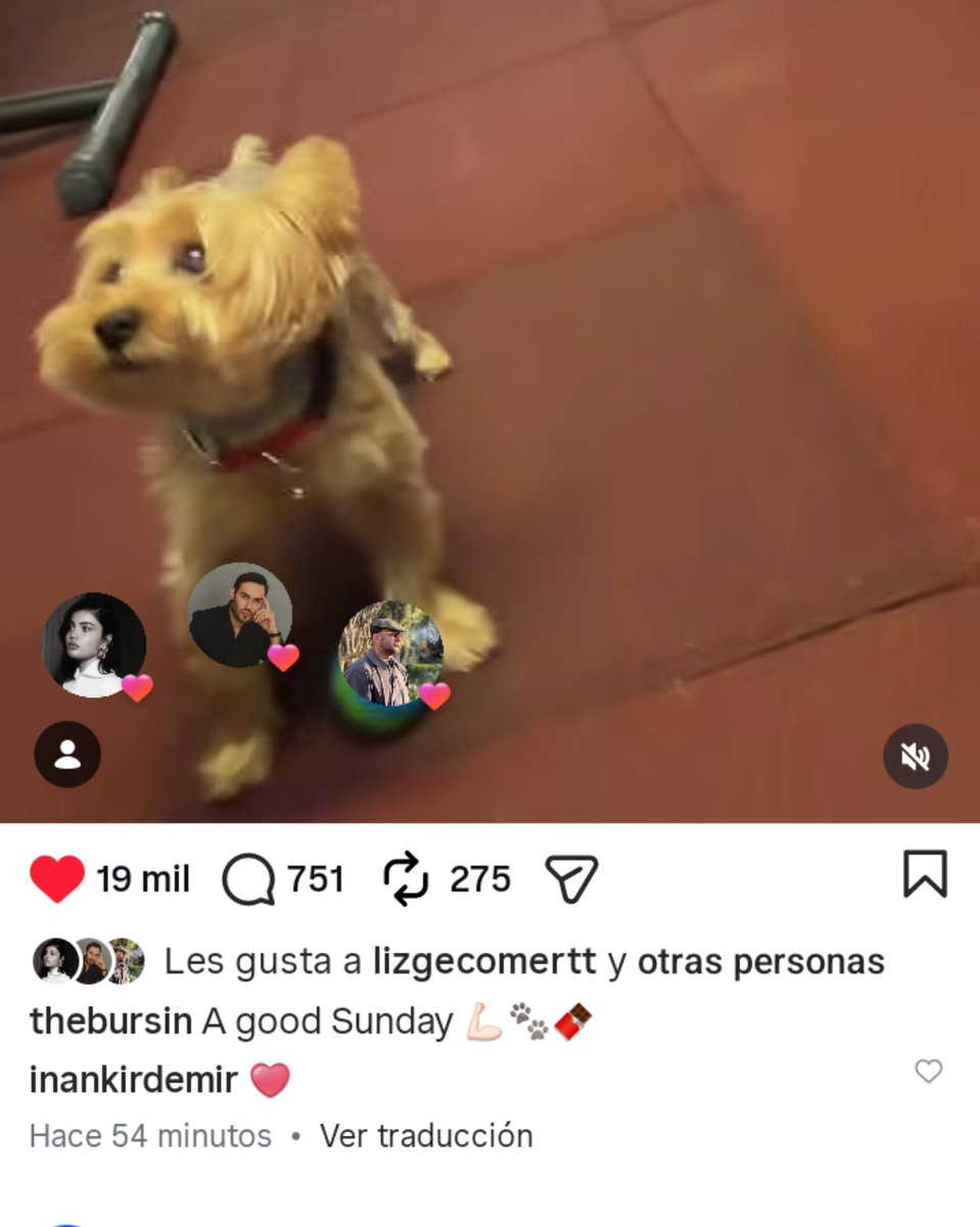 Viki_V25's tweet photo. Like de Lizge a Héctor🐾♥️😌 
#LizgeCömert #KeremBürsin #HectorBürsin https://t.co/ikIzeRhSHY