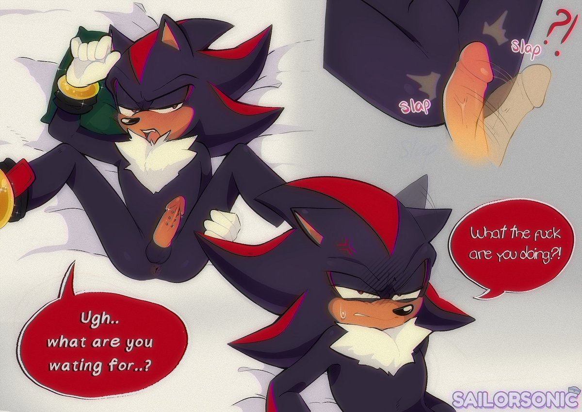 Ssailorsonic tweet picture