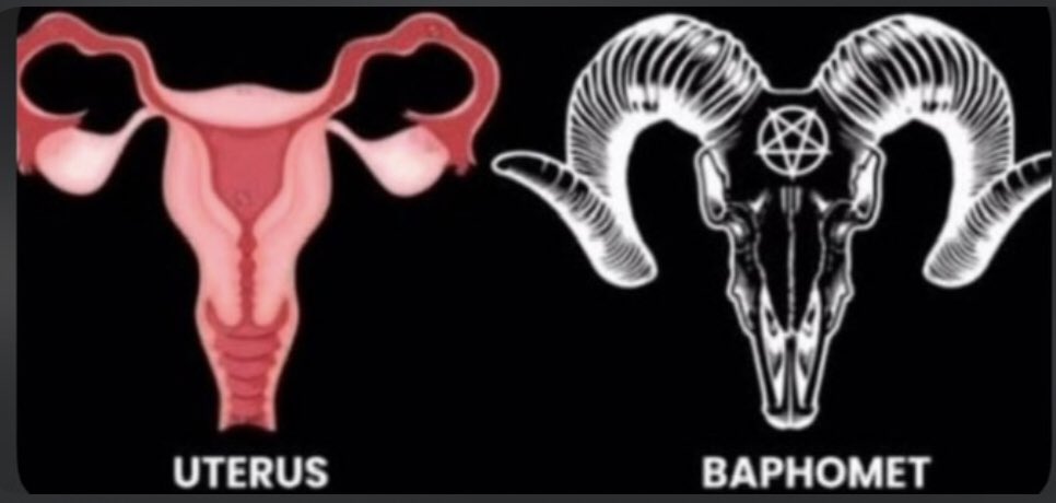 ArdoShkodrani's tweet photo. @ywomendeservles F0ids = 😈 https://t.co/SDR3xmw9Bb