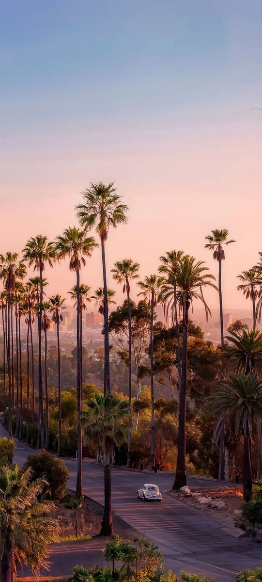 NaturalEye78321's tweet photo. 📍 Los Angeles, United States 🇺🇸 https://t.co/NYZpjmvusY