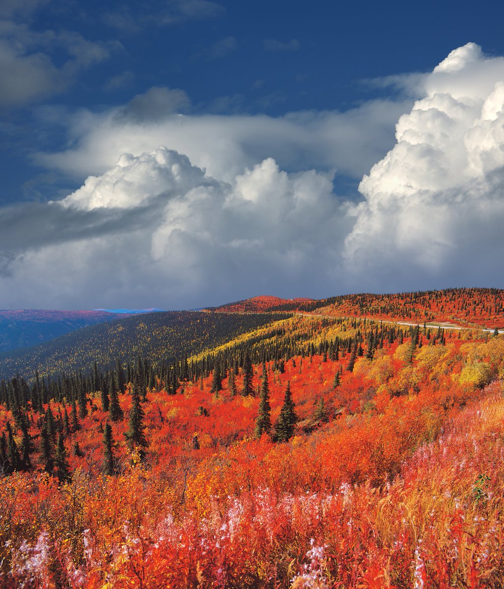 Canada's tweet photo. There’s nothing quite like #Canada during the fall. Fiery maples, golden forests, mirrored lakes and crisp autumn air make fall a spectacular time to explore Canada’s natural beauty. In your opinion, where is the best Canadian place to travel to in the fall? 🍁🍂 https://t.co/epZZs4DXJR