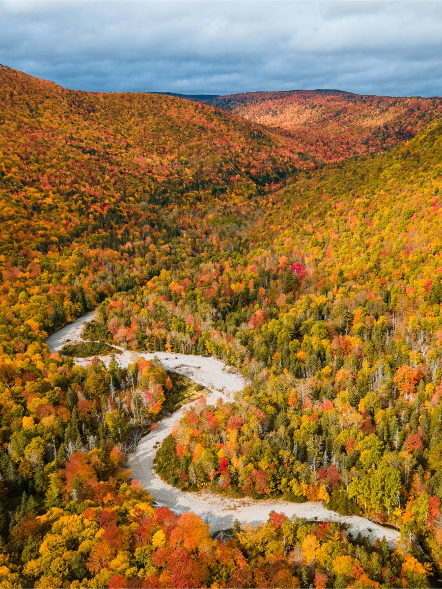 Canada's tweet photo. There’s nothing quite like #Canada during the fall. Fiery maples, golden forests, mirrored lakes and crisp autumn air make fall a spectacular time to explore Canada’s natural beauty. In your opinion, where is the best Canadian place to travel to in the fall? 🍁🍂 https://t.co/epZZs4DXJR