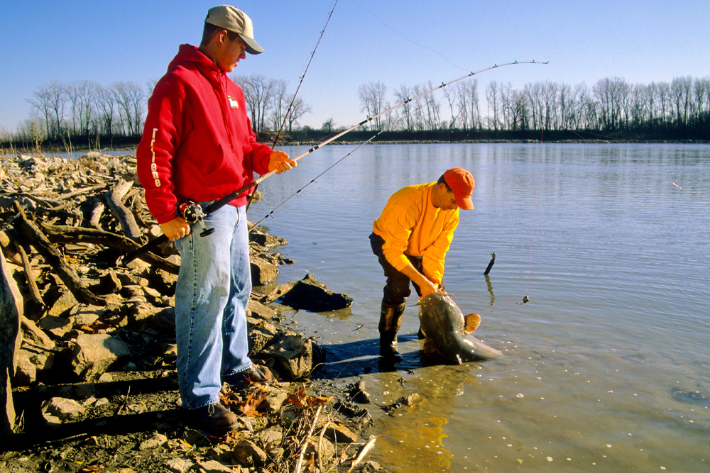 CatfishNOW1's tweet photo. Catfish Basics: Bankfishing Tips. Keith “Catfish” Sutton on catching more cats from shore. https://t.co/dgK4hEUssd #CatfishNOW #Bankfishing https://t.co/cPH9sEdDlE