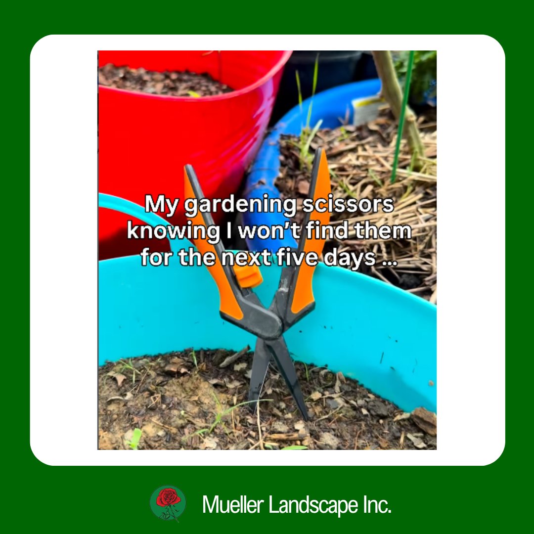 MuelleLandscape's tweet photo. โ๏ธ๐ Those gardening tools have a mysterious way of disappearing exactly when you need them!
.
.
.
.
#GardeningTools #GardeningHumor #GardenLife #GardenerLife #MuellerLandscape #Gardening https://t.co/2y3l5YrCAD