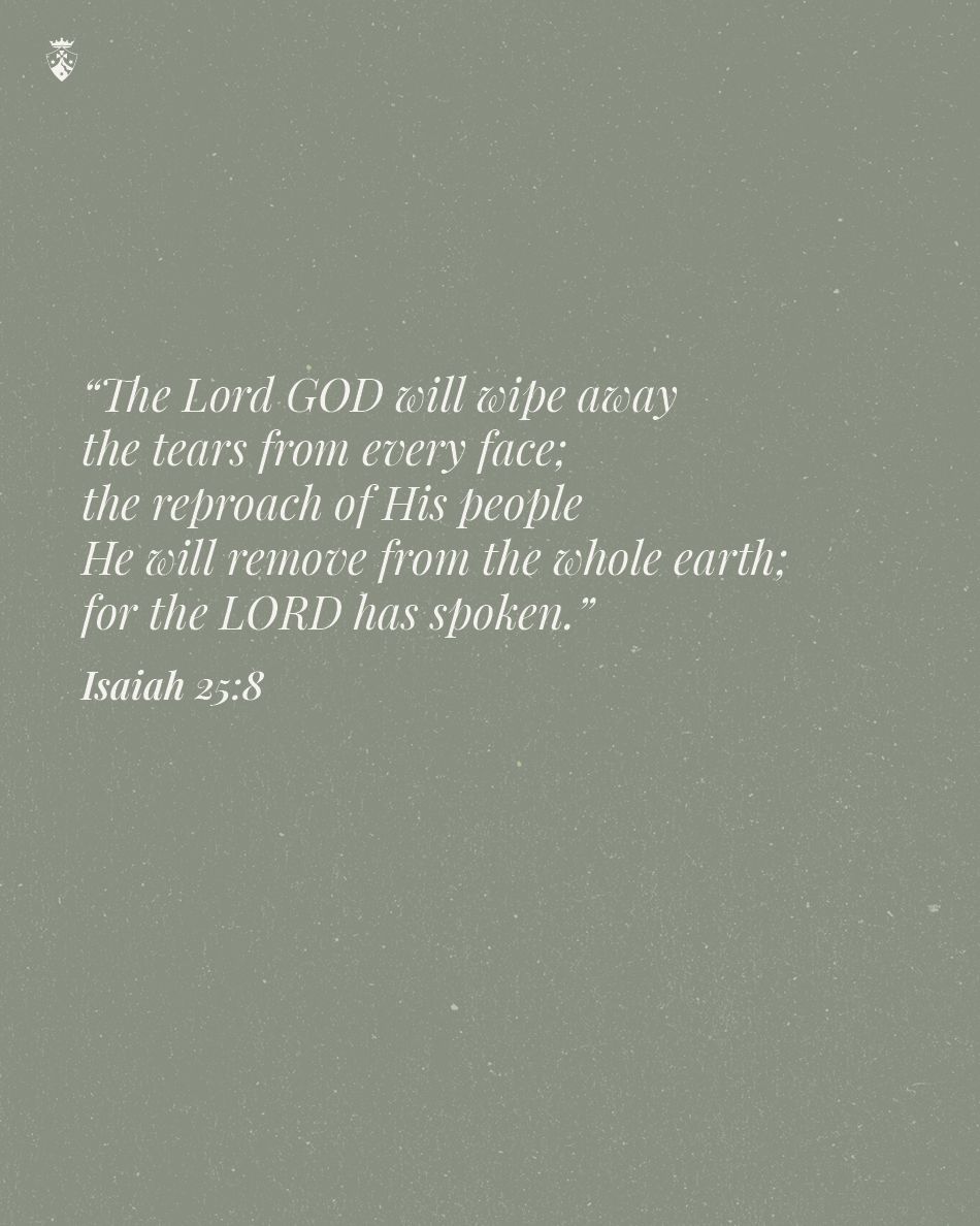 CarmelitesOCD's tweet photo. "The Lord GOD will wipe away
the tears from every face;
the reproach of his people he will remove
from the whole earth; for the LORD has spoken."
-Isaiah 25:8
#ScriptureSunday https://t.co/glp5MbEiUq