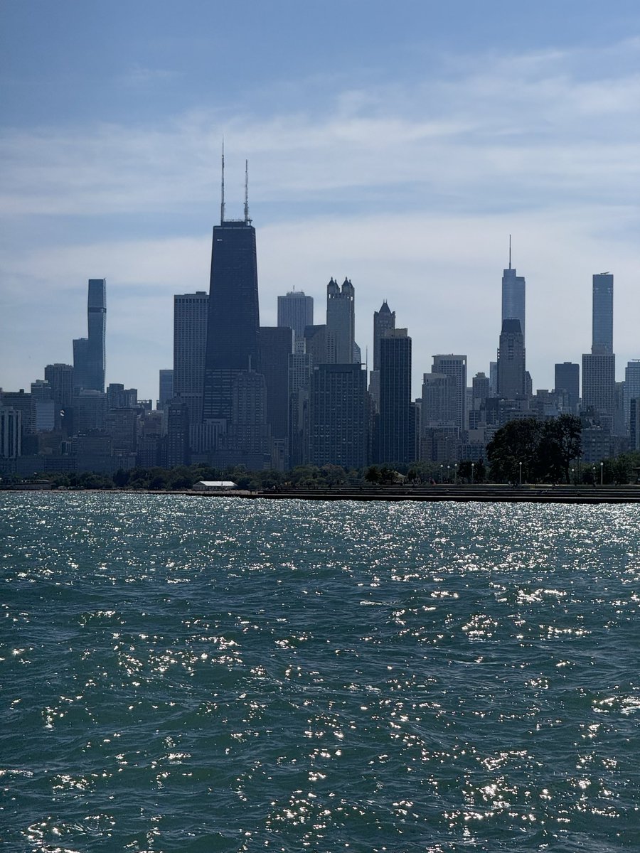 lordesghoul's tweet photo. The Sea of the People's Republic of Chicago https://t.co/QQ2072wYv6