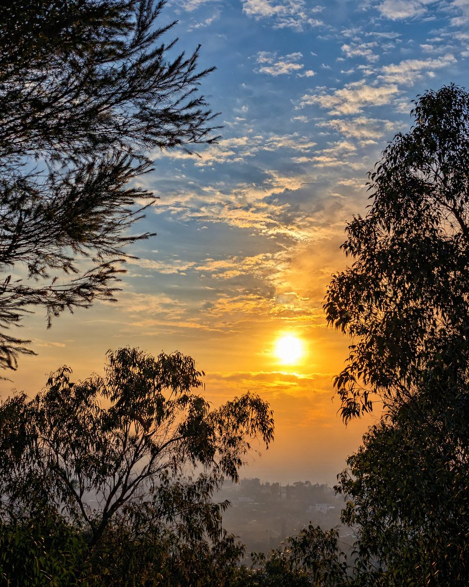Havenlust's tweet photo. Every sunrise is a quiet reminder that beauty always finds its way back. https://t.co/XWyXcULKKV