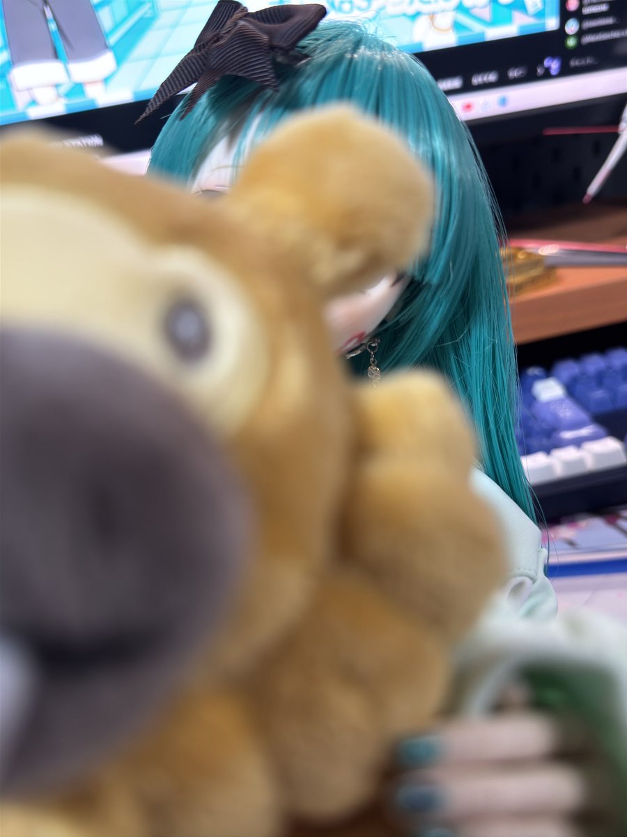 BIG_ARIA_STAR's tweet photo. ほらみてみてみてみて！よくみて！
このビッパの　かおを　よくみて！！ https://t.co/PpSY0UO5Ya