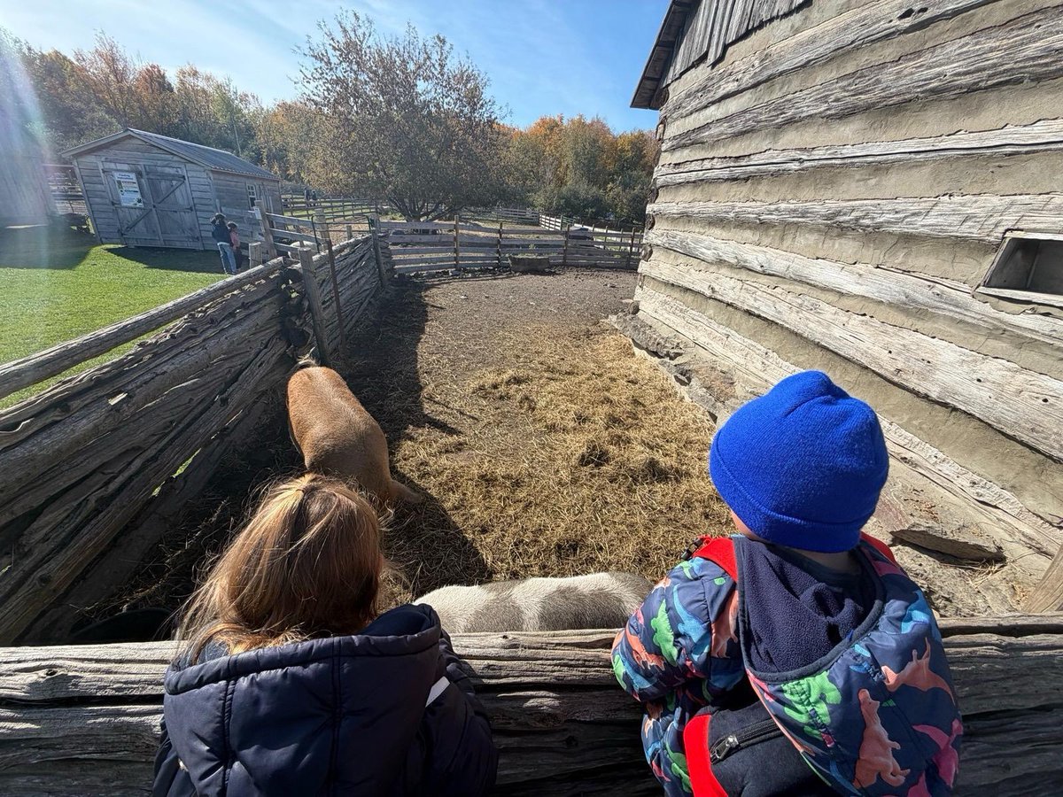 PierrePoilievre's tweet photo. Thankful for my favourite people.

Happy Thanksgiving from the pumpkin patch. https://t.co/zqcP2Itbzm