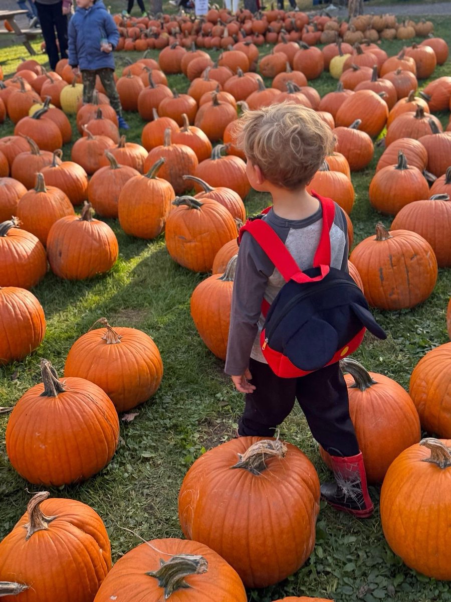 PierrePoilievre's tweet photo. Thankful for my favourite people.

Happy Thanksgiving from the pumpkin patch. https://t.co/zqcP2Itbzm
