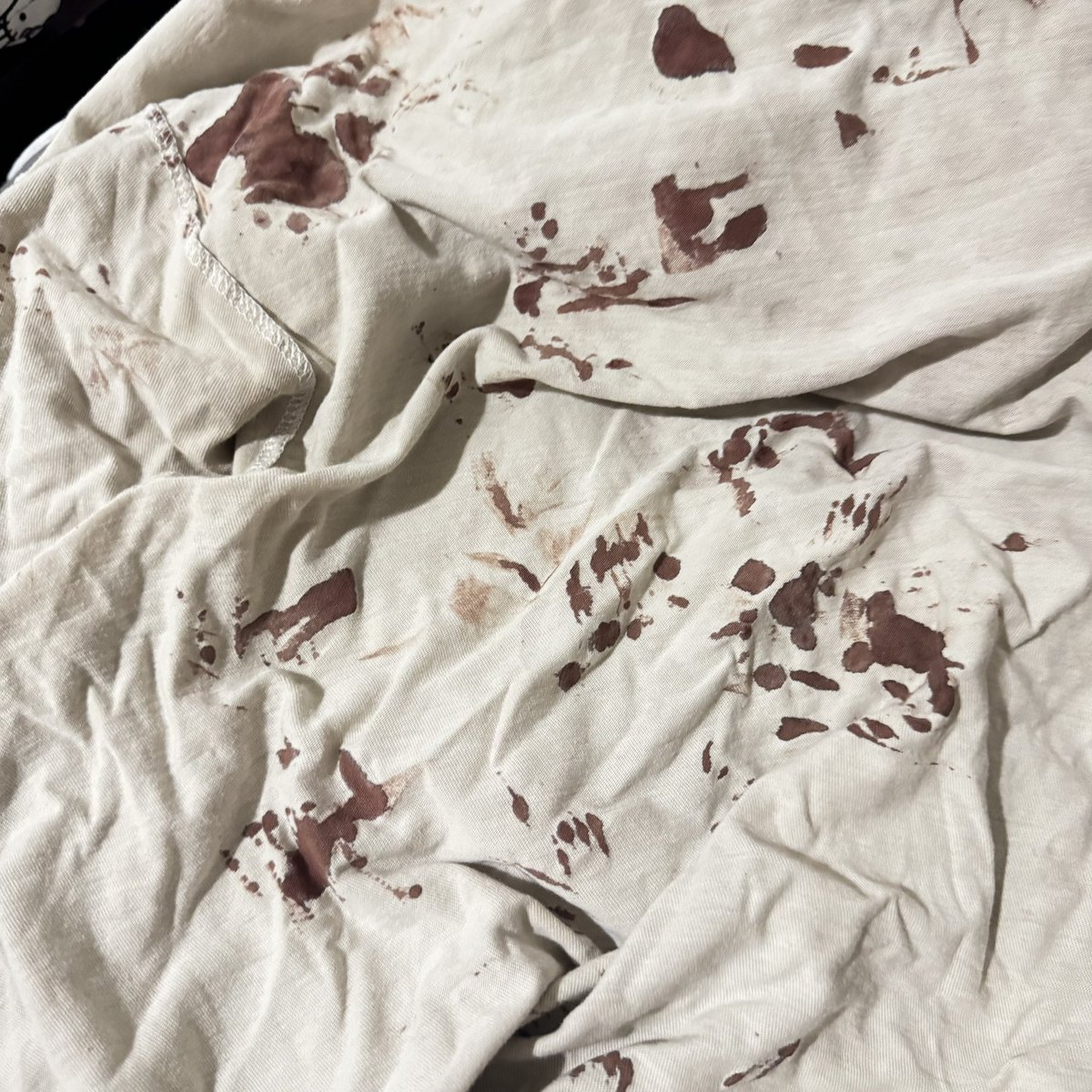 Inupuppychow's tweet photo. when do i retire the blood shirt https://t.co/64AGypXi4t