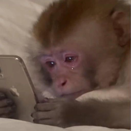 HyperShill's tweet photo. THE OG $CA

The LARP one reached 80k fast

Now everyone is comin to the og one.

9dWN8RdeFsGniUKvFHtEttwt8ztuMNwnAagTincrpump https://t.co/cOKhLxPI1d
