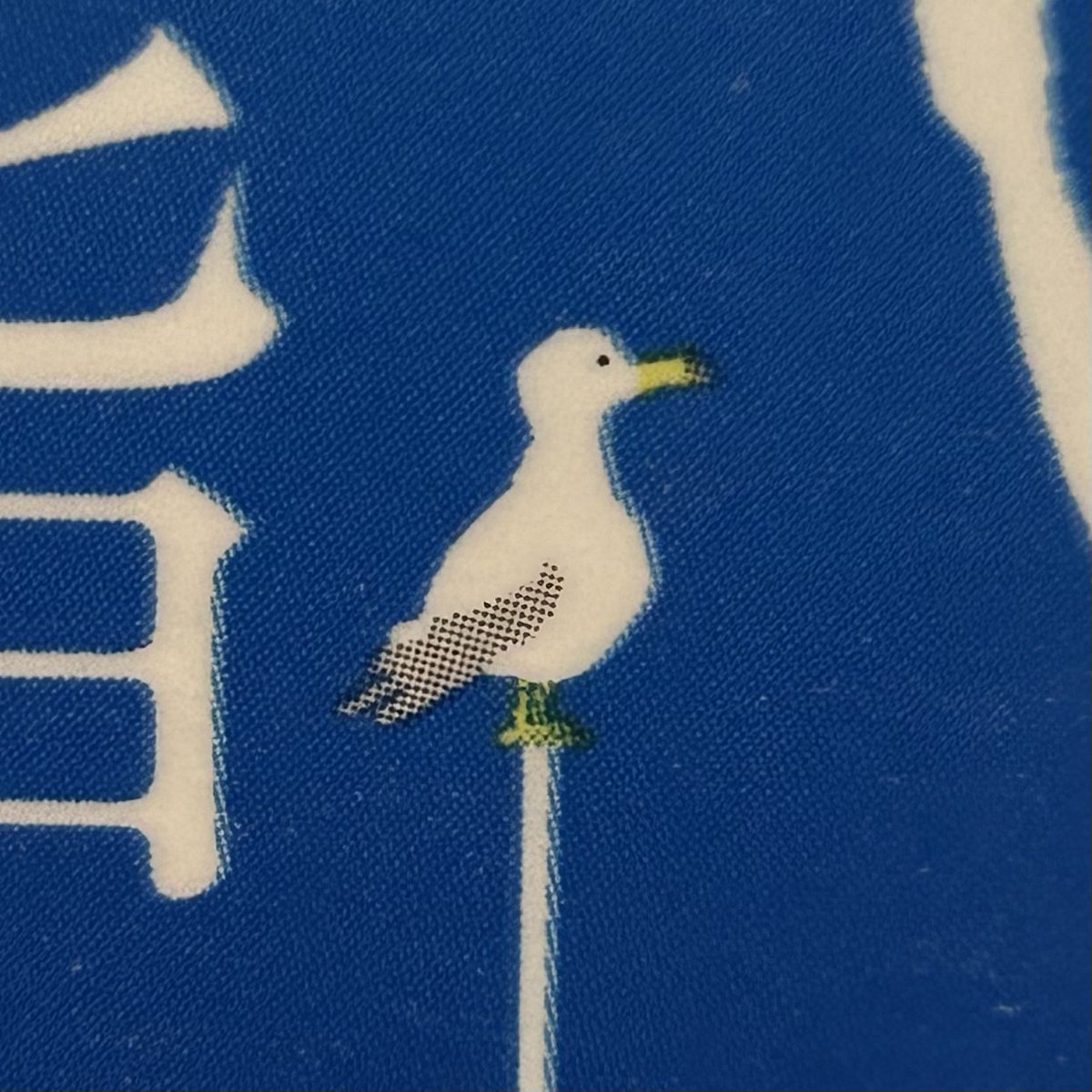 961_drdr's tweet photo. めっちゃ可愛いwwwwwwwwwwwwwwwwww https://t.co/hL70dSmFM0