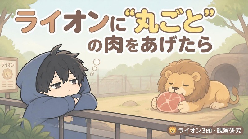 nemui_insei's tweet photo. 動物園のライオンに、ときどき“丸ごと”の肉をあげてみたらしい

9日に1回出したら、食べる時間がいつもの約3倍に。食後はよく休んで、空腹が続くと動き出す、野生っぽいリズムになった。ケンカは増えなかった

（オス3頭だけの観察研究）

#論文紹介 https://t.co/oaC8WOyBG2