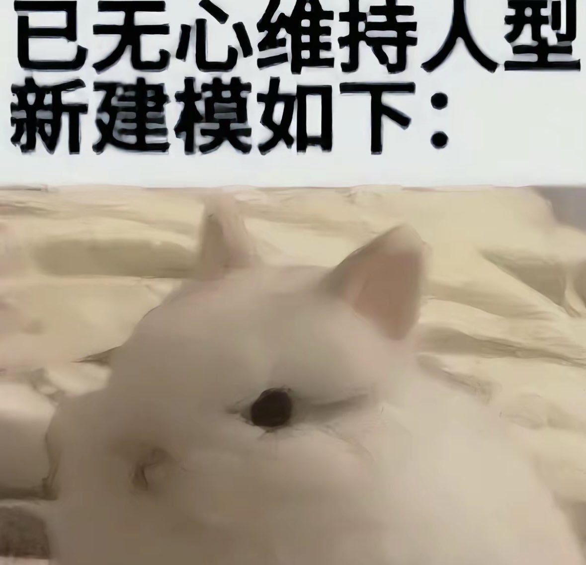 lyff123456's tweet photo. https://t.co/fqjZBcqGhv