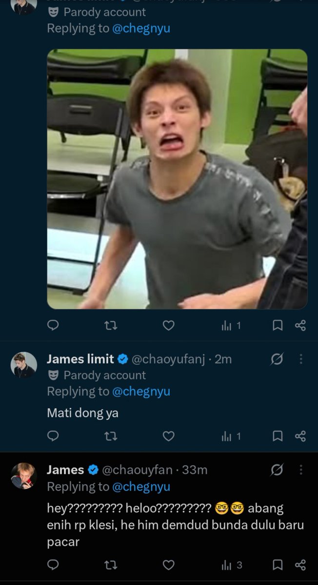 chegnyu's tweet photo. @chaoyufanj @chaouyfan dah kalisn cocok dinobatkan sebagai rp James jamet dan nyebelin https://t.co/s0zib04YN6