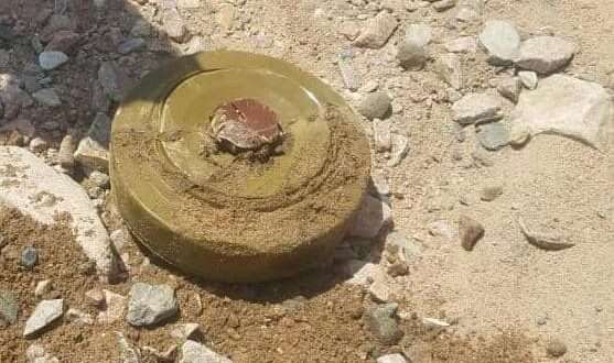 suhailchannel's tweet photo. استشهاد طفل بانفجار لغم حوثي أثناء رعي الأغنام غرب تعز

التفاصيل عبر الرابط في أول تعليق..
#سهيل #اليمن https://t.co/J3bPhsihi2