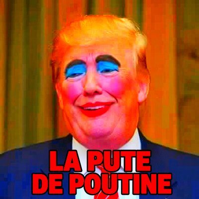 DIGNEAU5's tweet photo. Voilà comment vous considérer @realDonaldTrump . C'est exactement ce que vous êtes en voulant le depart de @ZelenskyyUa et votre soumission au pire criminel du 21 ème siècle #putinwarcriminal juste pour satisfaire votre ego financier https://t.co/bXhjnV7XLm
