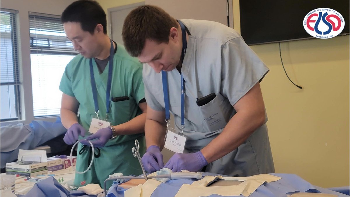 ELSOOrg's tweet photo. Percutaneous adult #ECMO #cannulation workshop ongoing 📌 in Ann Arbor! The trainees had multiple hands-on opportunities to cannulate, strengthen their approach to challenging cases
🎓 Next available 1 day sessions?
📆 April 16, 17, 18 2027 (🪑 few seats)
📬 ecmotraining@elso.org https://t.co/WSIJdeGJWV