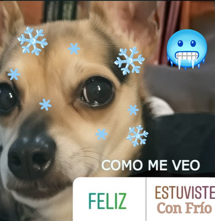 flopvib3s's tweet photo. Yo ahorita mismo https://t.co/DwrnhBn4ZU