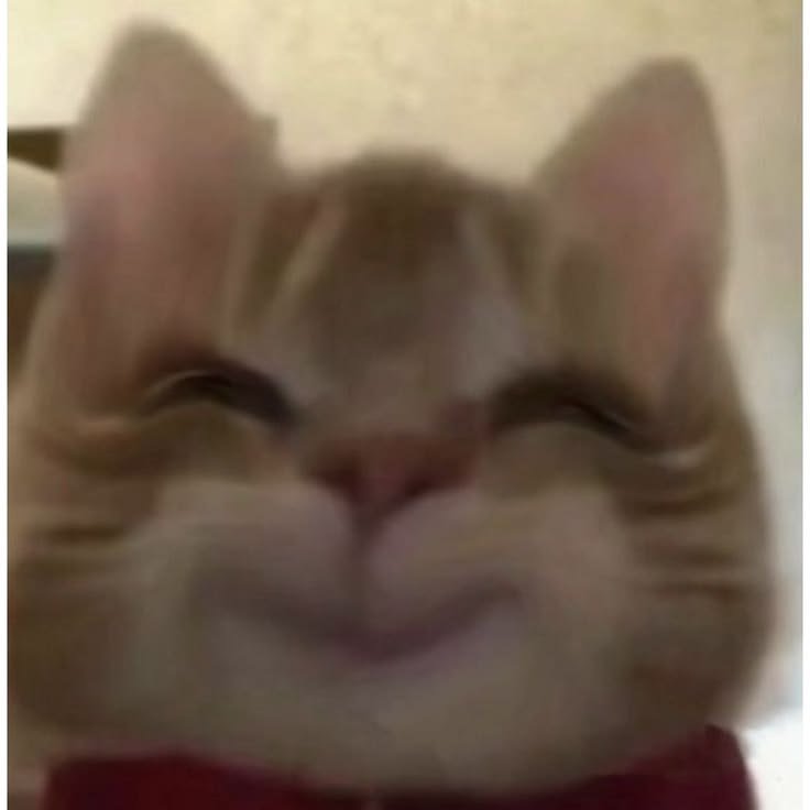 golddwinggg1's tweet photo. i think he's just a cat https://t.co/uomfRtFBRd