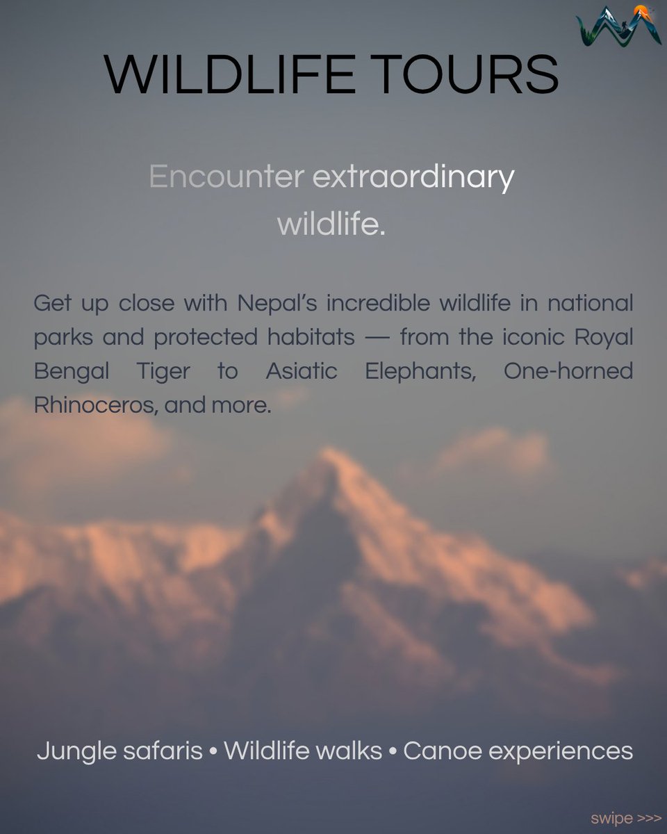 Wildwalknepal's tweet photo. Discover Nepal your way. 🏔️ From extraordinary wildlife and white-water adventures to Himalayan trails and authentic cultural experiences, your next journey starts with WildWalk Nepal.

Explore: https://t.co/kUk3erCUel
@photo_wakif 
#WildWalkNepal #VisitNepal #NepalTravel https://t.co/JZqdAndL8D