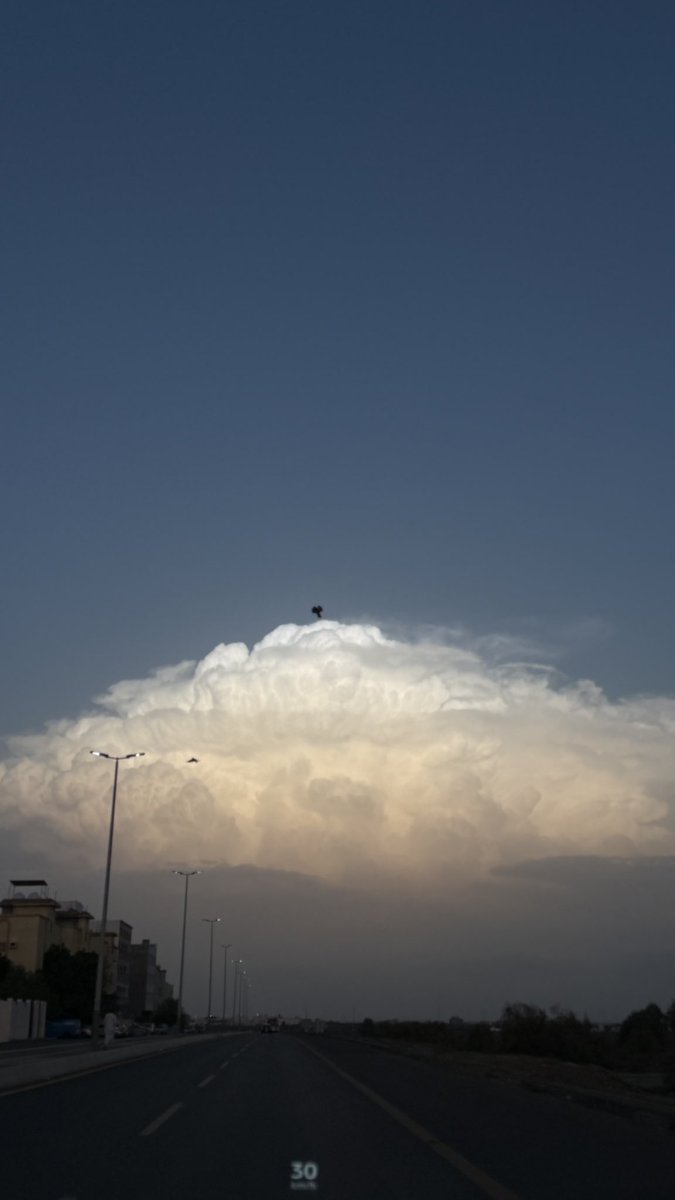 Toome91902's tweet photo. محظوظ في السماء اني كل مره❣️.
بشوفها واتامل ابداع الخالق 🕊️🌤️
#مساء_الخير_والسعادة https://t.co/GCzNZLtKzY