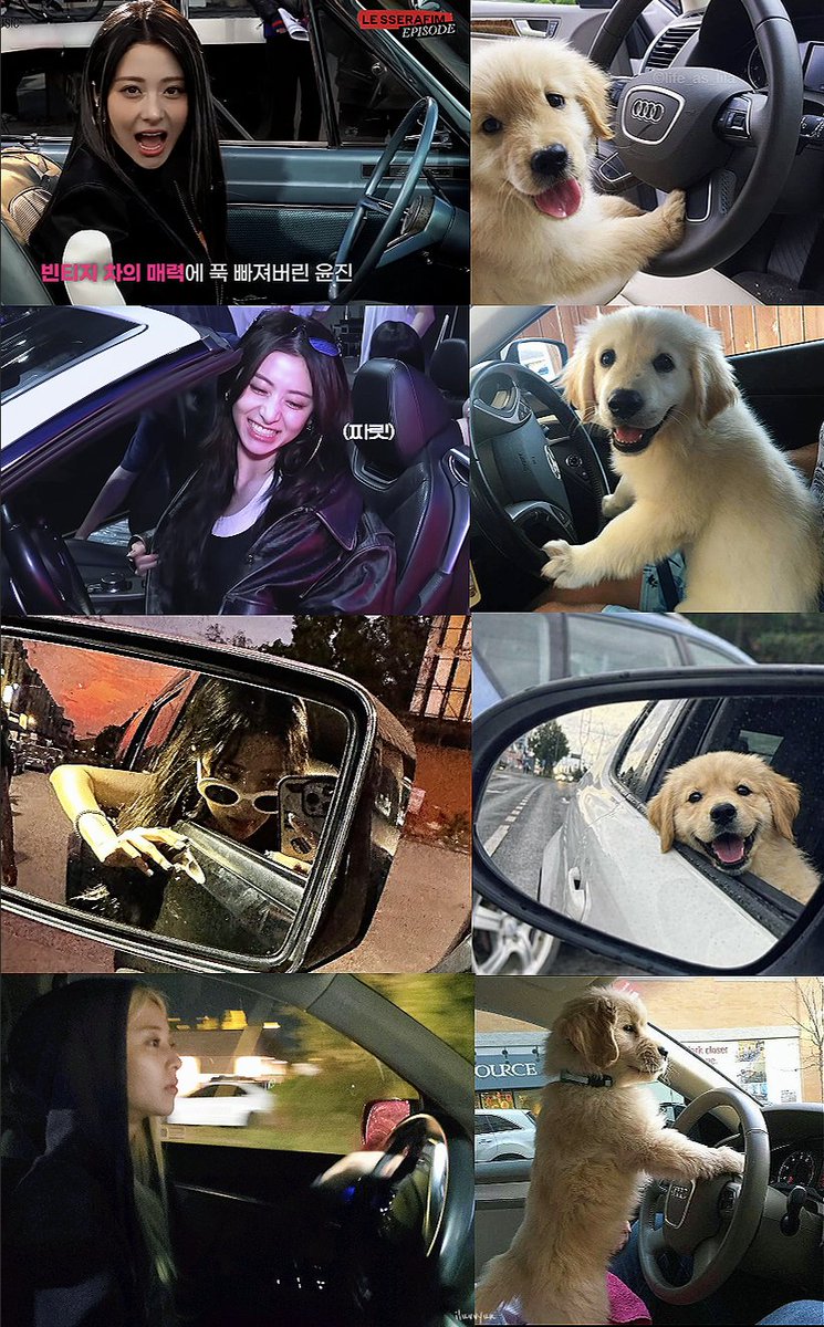 iluvvyun's tweet photo. Huhdaengie vs 🚘  
( i see no difference ) https://t.co/fRBvH99vAw