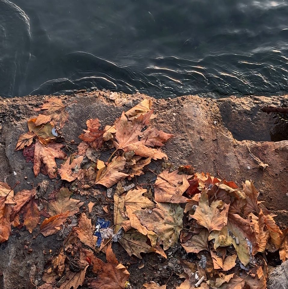 Jor1l's tweet photo. 🍁 https://t.co/sEiSK0oLe7