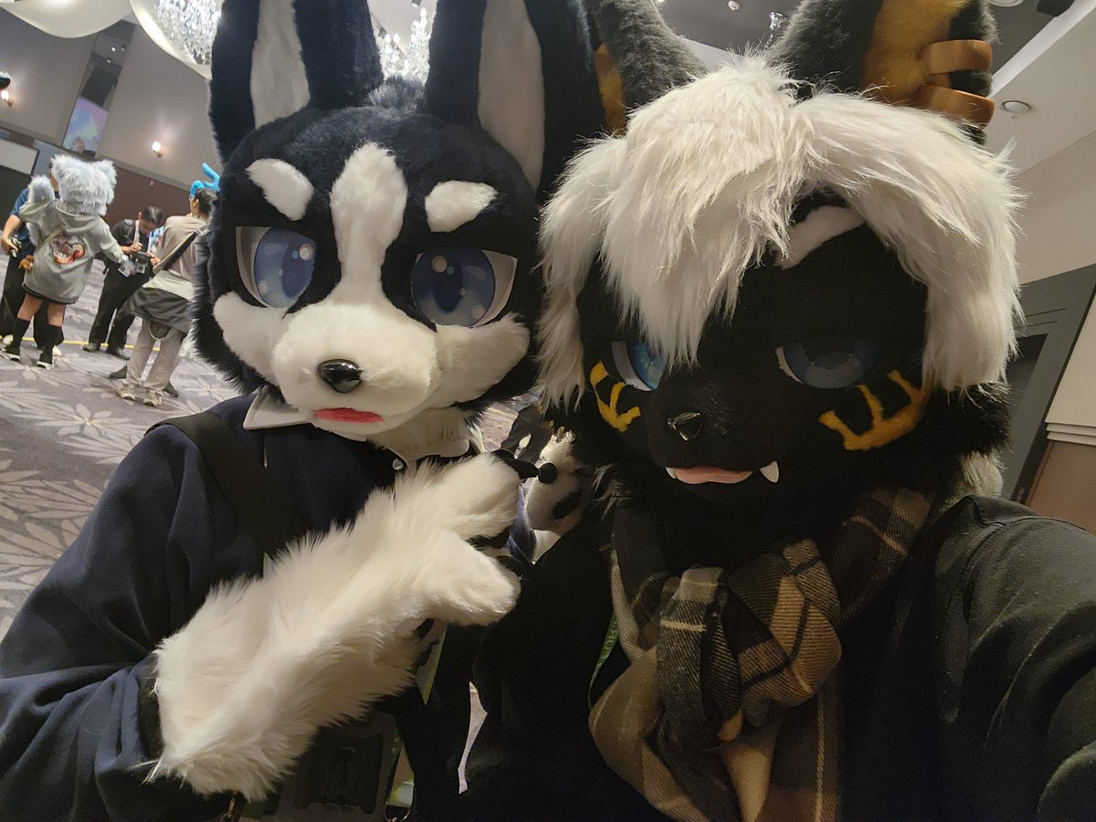 Anue_Fur's tweet photo. @Bolk_FS 
@MiNE_furry 
@Lv_Delta 
@kuby_fur 
@little_star_fur https://t.co/W9TMyV6GrF