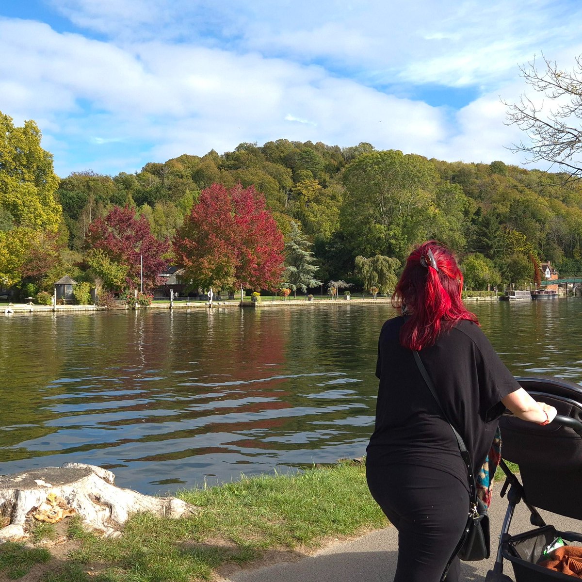 ThamesPathNT's tweet photo. Glowing colours in Sunday sunshine along the Thames Path in Henley-on-Thames.
#thamespath30 #trees #SundayReset #autumn
@TiCLme @RiverThames @HenleyTrains https://t.co/0jtxL4IXUW