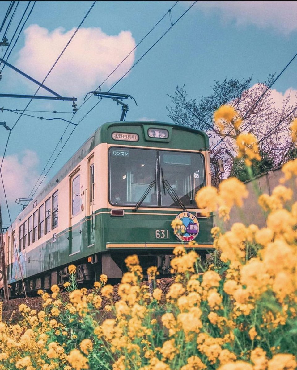 MaAS79763479's tweet photo. 冒頭ガシガシ踊り出したところで隣の妹に「れな泣くぞ」と思われてたのおもろい
「うあ゛ぁ゛ーーーー😭」って号泣してた https://t.co/wQML4HIXJN