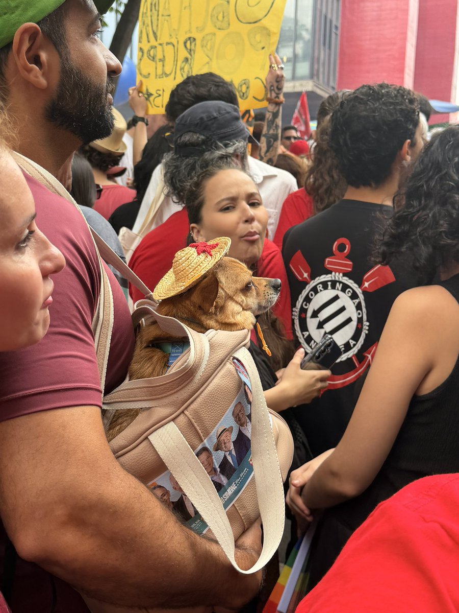 judepaulla1's tweet photo. CACHORRAS COM LULA https://t.co/fu0pIW4R1b